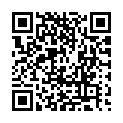 To view this 2015 CHEVROLET CAPTIVA Houston TX from Canino Auto Sales | Houston | College Station | San Antonio, please scan this QR code with your smartphone or tablet to view the mobile version of this page.