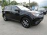 2017 BLACK TOYOTA RAV4 LE (2T3ZFREV5HW) with an 2.5L engine, Automatic transmission, located at 830 E. Canino Rd., Houston, TX, 77037, (281) 405-0440, 38.358219, -81.729942 - Photo#1