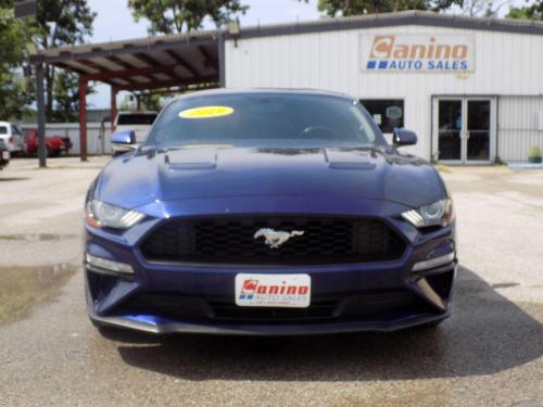 2019 FORD MUSTANG 