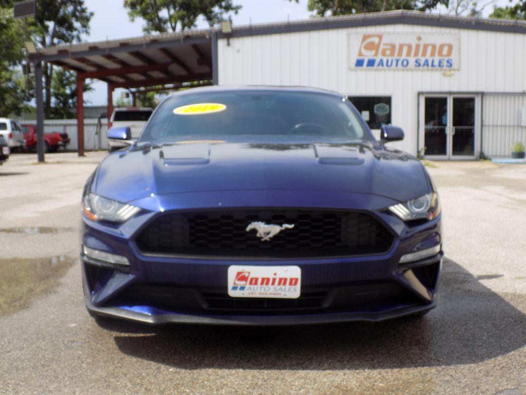photo of 2019 FORD MUSTANG 
