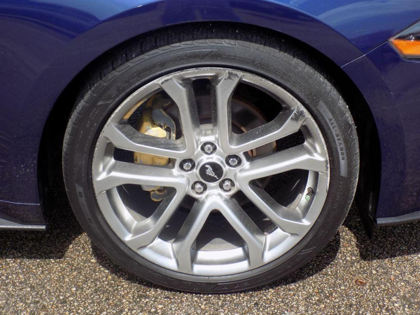 2019 BLUE FORD MUSTANG (1FA6P8TH6K5) with an 2.3L engine, Automatic transmission, located at 830 E. Canino Rd., Houston, TX, 77037, (281) 405-0440, 38.358219, -81.729942 - Photo#18