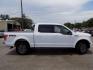 2016 WHITE FORD F150 SUPERCREW (1FTEW1EF5GK) with an 5.0L engine, Automatic transmission, located at 830 E. Canino Rd., Houston, TX, 77037, (281) 405-0440, 38.358219, -81.729942 - Photo#6