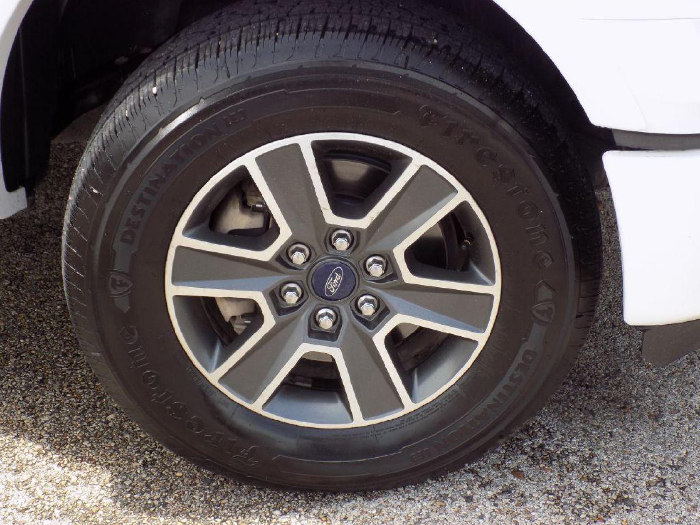 2016 WHITE FORD F150 SUPERCREW (1FTEW1EF5GK) with an 5.0L engine, Automatic transmission, located at 830 E. Canino Rd., Houston, TX, 77037, (281) 405-0440, 38.358219, -81.729942 - Photo#17