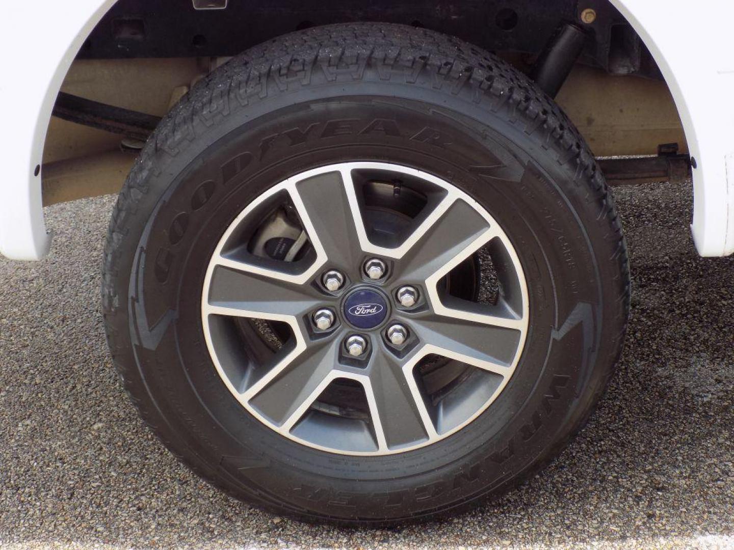 2016 WHITE FORD F150 SUPERCREW (1FTEW1EF5GK) with an 5.0L engine, Automatic transmission, located at 830 E. Canino Rd., Houston, TX, 77037, (281) 405-0440, 38.358219, -81.729942 - Photo#18